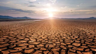 dried river.jpeg