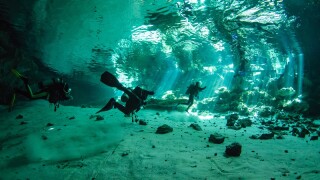 Yucatan cenotes, Mexico.