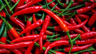 indonesian-local-chilli-pepper.jpg