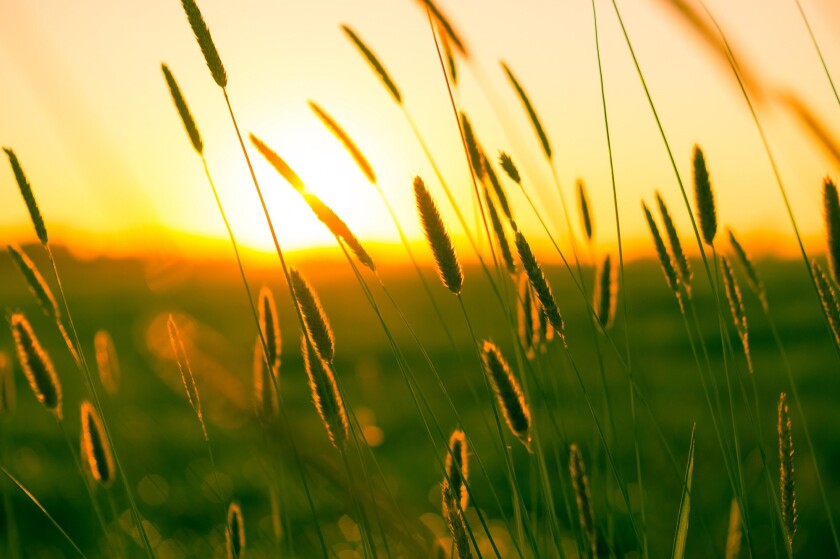 summer-970347.jpg