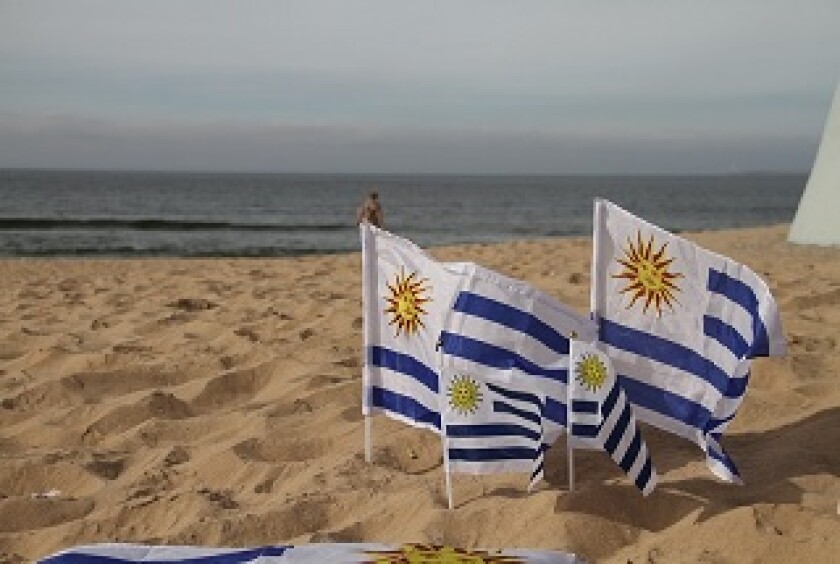 Uruguay free trade zones
