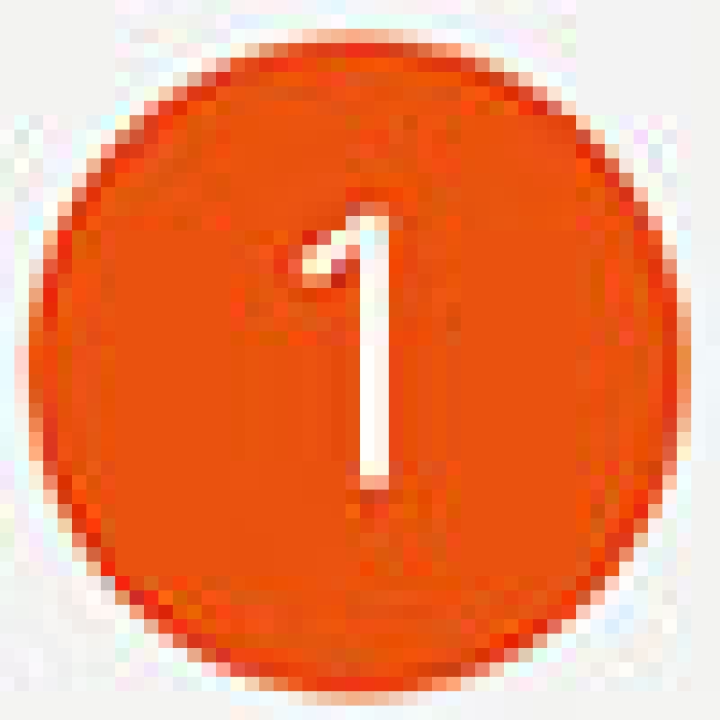 1g