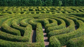 Green bushes circular labyrinth, hedge maze. Top view.