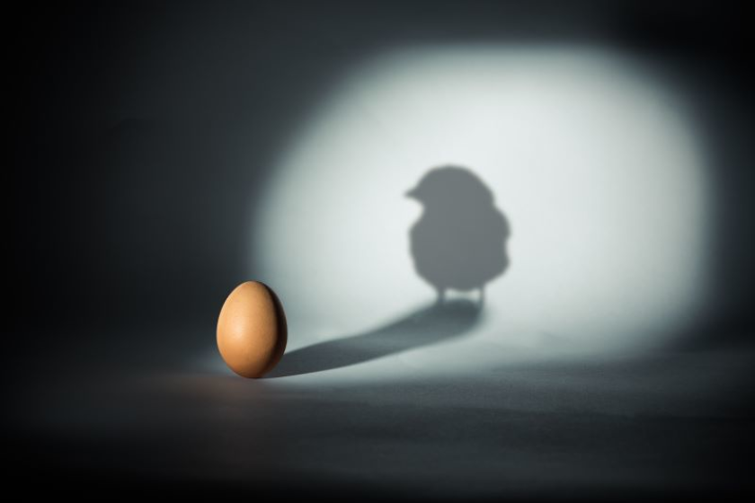 chicken