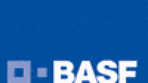 basf-feb06.gif