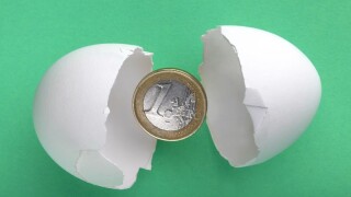 Cash shells surge in equities market