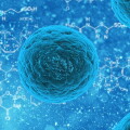cancer cell