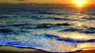 beach.jpg