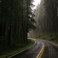 road.jpg
