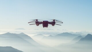 These developments in EU and Portuguese legislation followed a general transparency framework