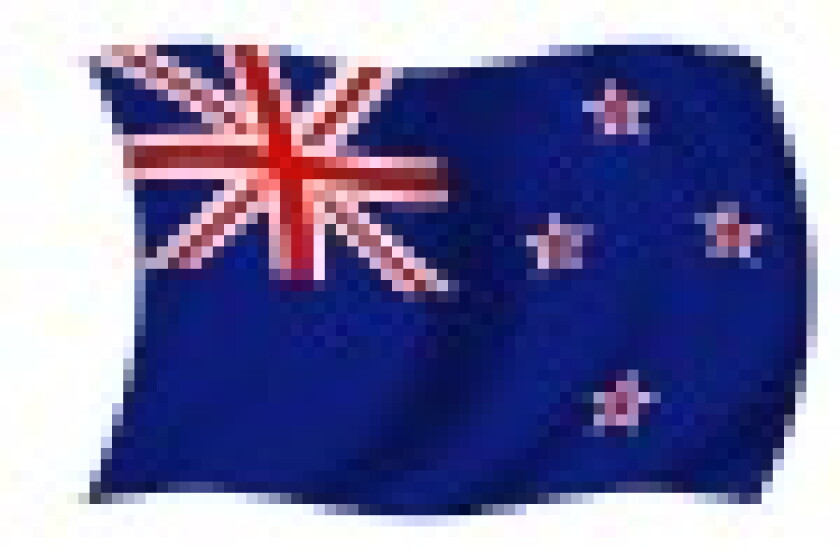 nz.jpg