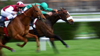 horse-race.jpeg