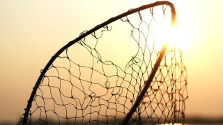 The levy's extended scope will be difficult to enforce