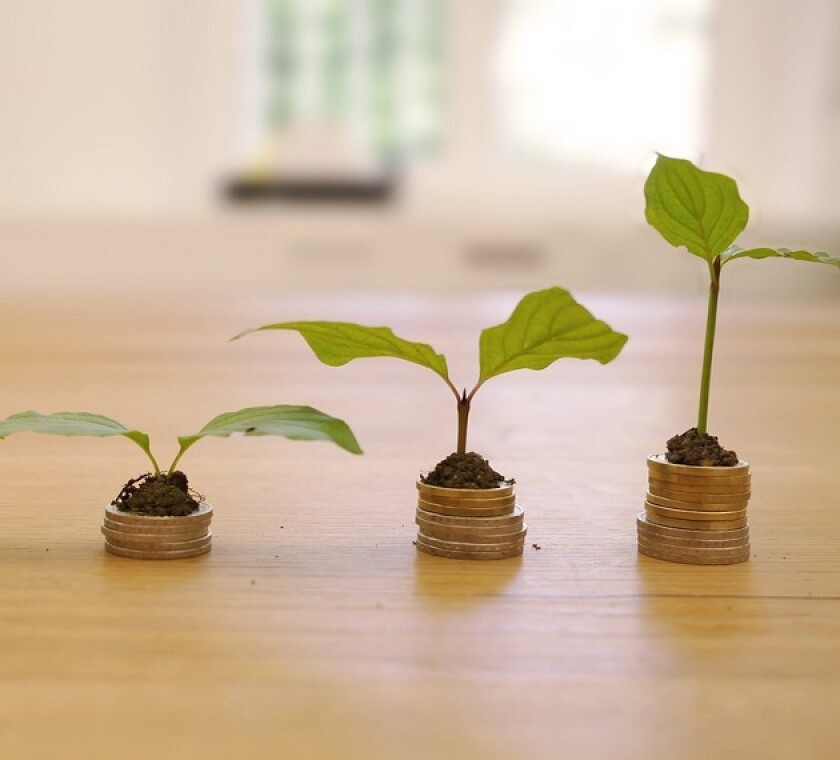 Tax liability insurance policies are a cost effective tool