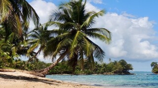 The Panamanian tax authority introduced diverse measures between 2020 and 2021
