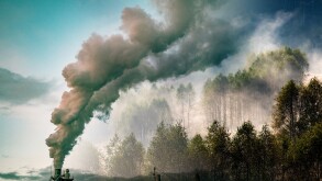 factory smoke covering green forest double exposure global warmi