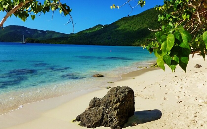BVI large