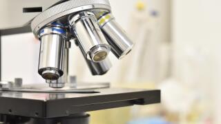 microscope-5732847.jpg