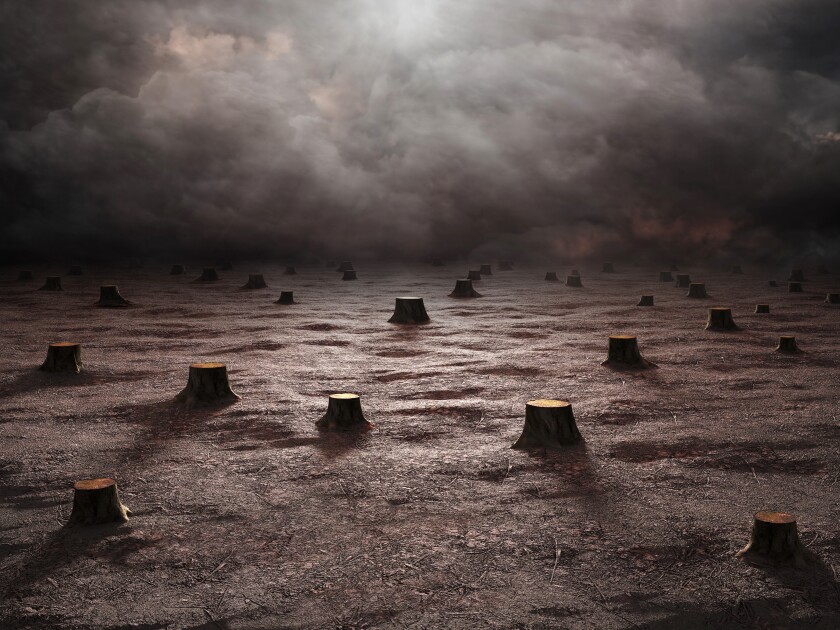 Deforested landscape 