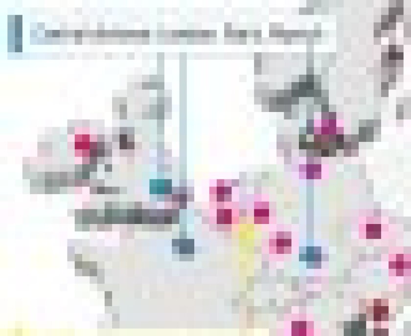 upc-map-updated-crop-55.jpg