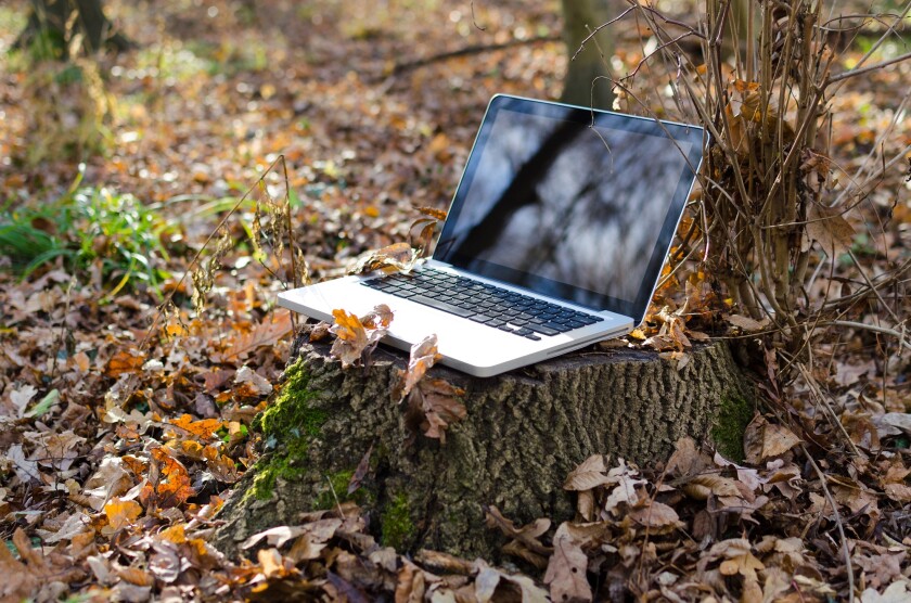 laptop-2055522.jpg
