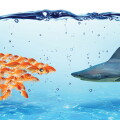 Cooperative compliance and early disclosures can keep the calm
