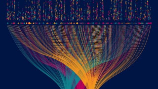 Multinationals need better data to comply with future tax obligations