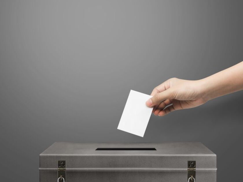 vote.jpeg