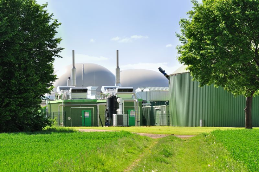 bio fuel plant