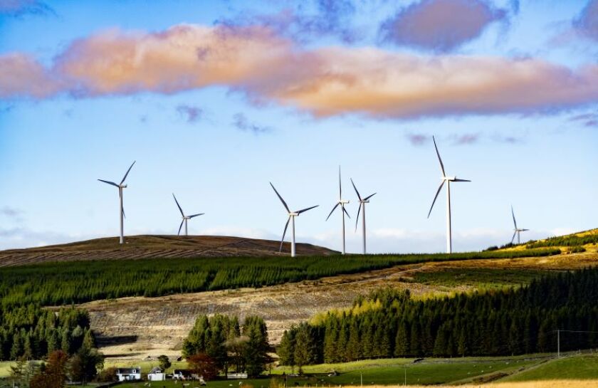 windmills.jpeg
