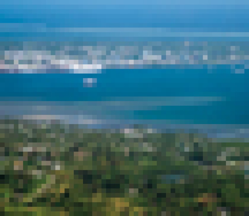 pacific-puff.jpg