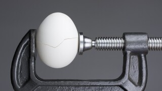 egg