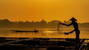 Fisherman feeds the fish in a commercial farm in Mekong river. Farmers feeding fish in cages, Mekong River. The Tilapia for feeding fish in northeast of Thailand.