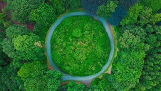 greennnnnn.jpg