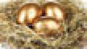 eggs-puff.jpg