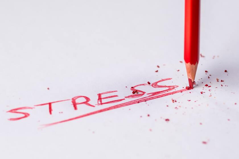 stress2.jpg