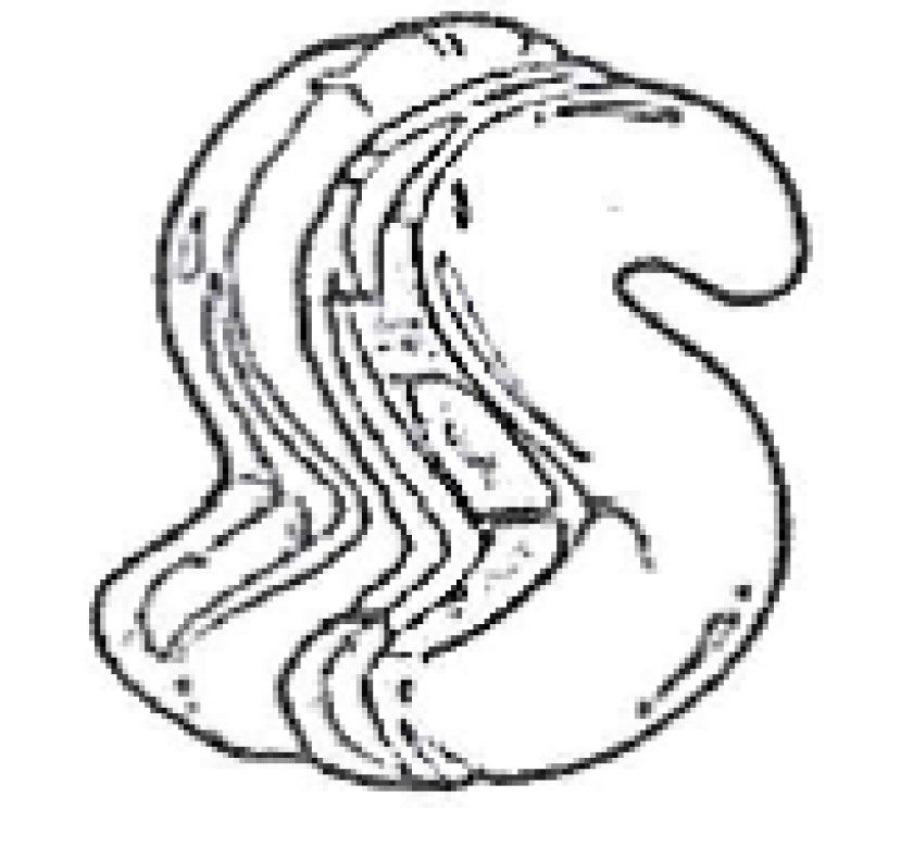 S-shape