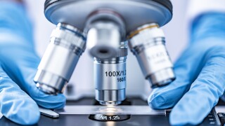 Microscope