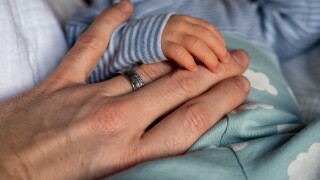 child-4042446.jpg