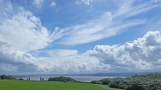 Large green space on the Wirral