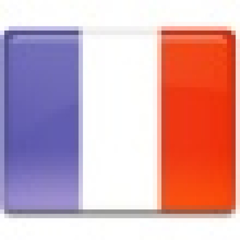 france-flag.jpg