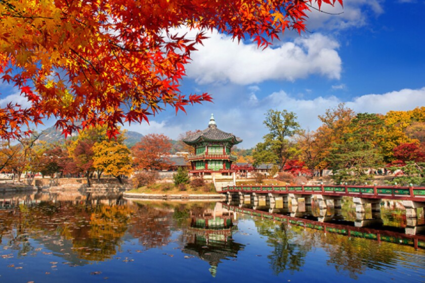 shin-kim-adobestock-290649805.jpg