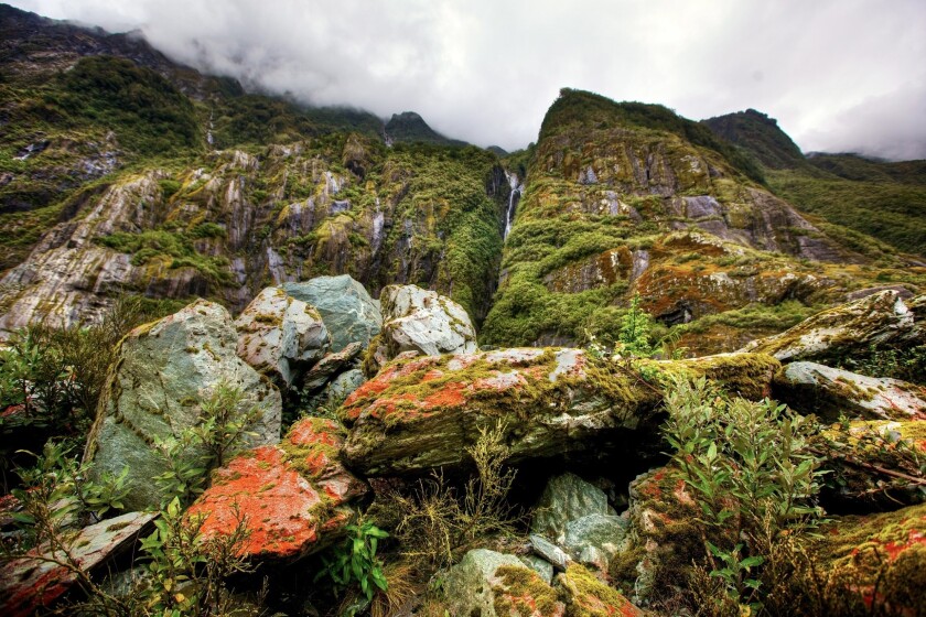 mountain-49878.jpg