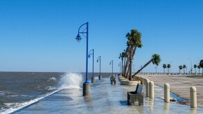 Waves on Lake Pontchartrain and Leaning Palm Tree in New Orleans