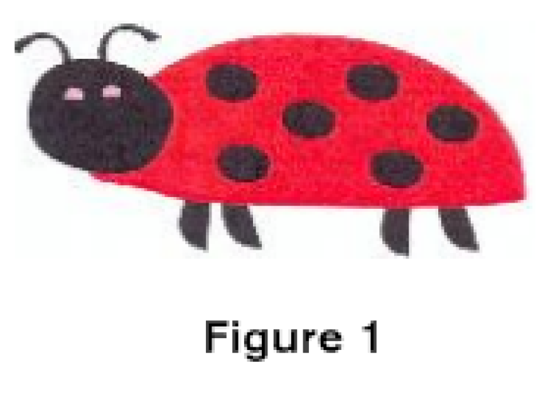 ladybird
