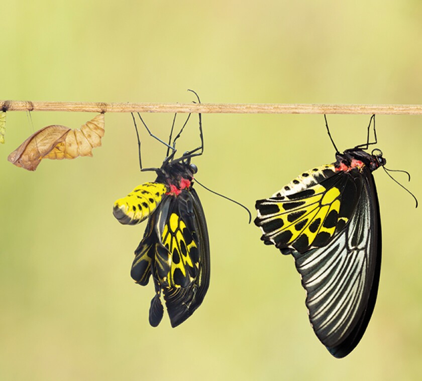 transformation-630.jpg