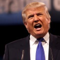 donald large