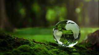 Crystal Earth On Soil In Forest With Ferns And Sunlight - Enviro