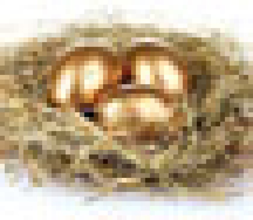 eggs-puff.jpg