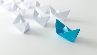 Taking the lead
